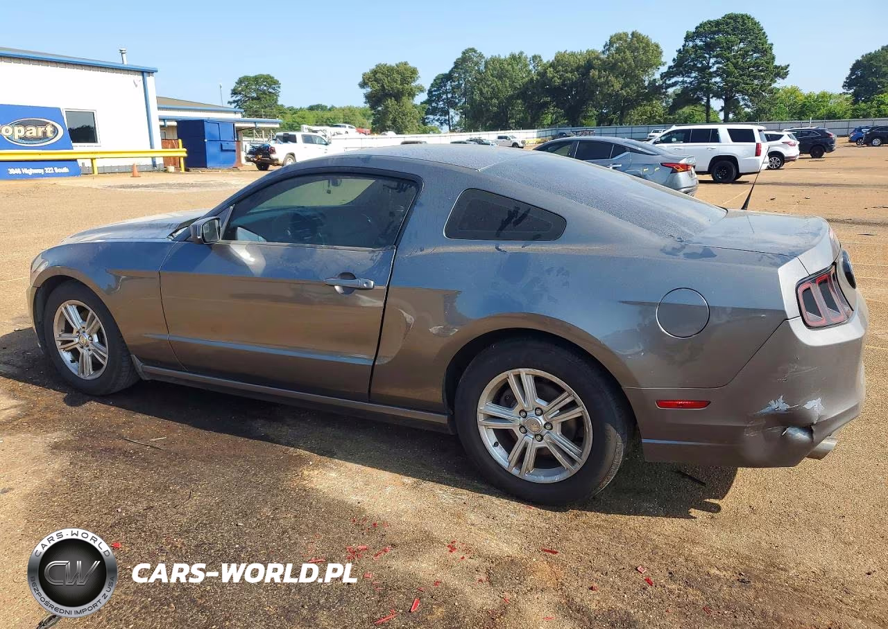 2014 Ford Mustang VIN:1ZVBP8AM8E5316743 - 2