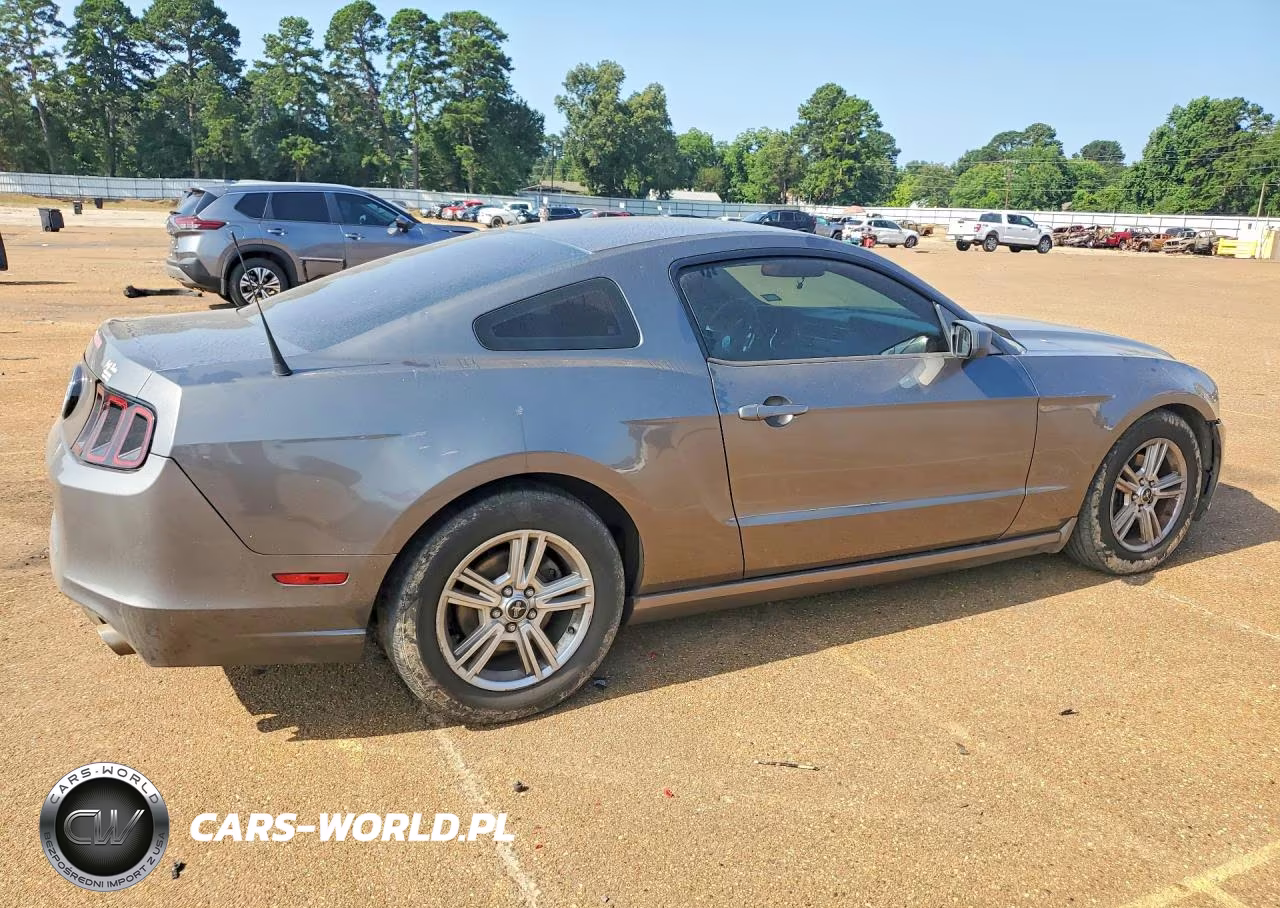 2014 Ford Mustang VIN:1ZVBP8AM8E5316743 - 3