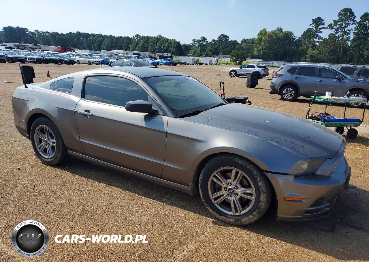 2014 Ford Mustang VIN:1ZVBP8AM8E5316743 - 4