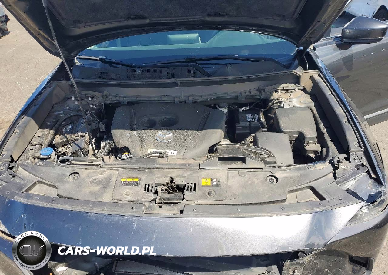 2020 Mazda Cx-9 Sport VIN:JM3TCBBY8L0415405 - 11