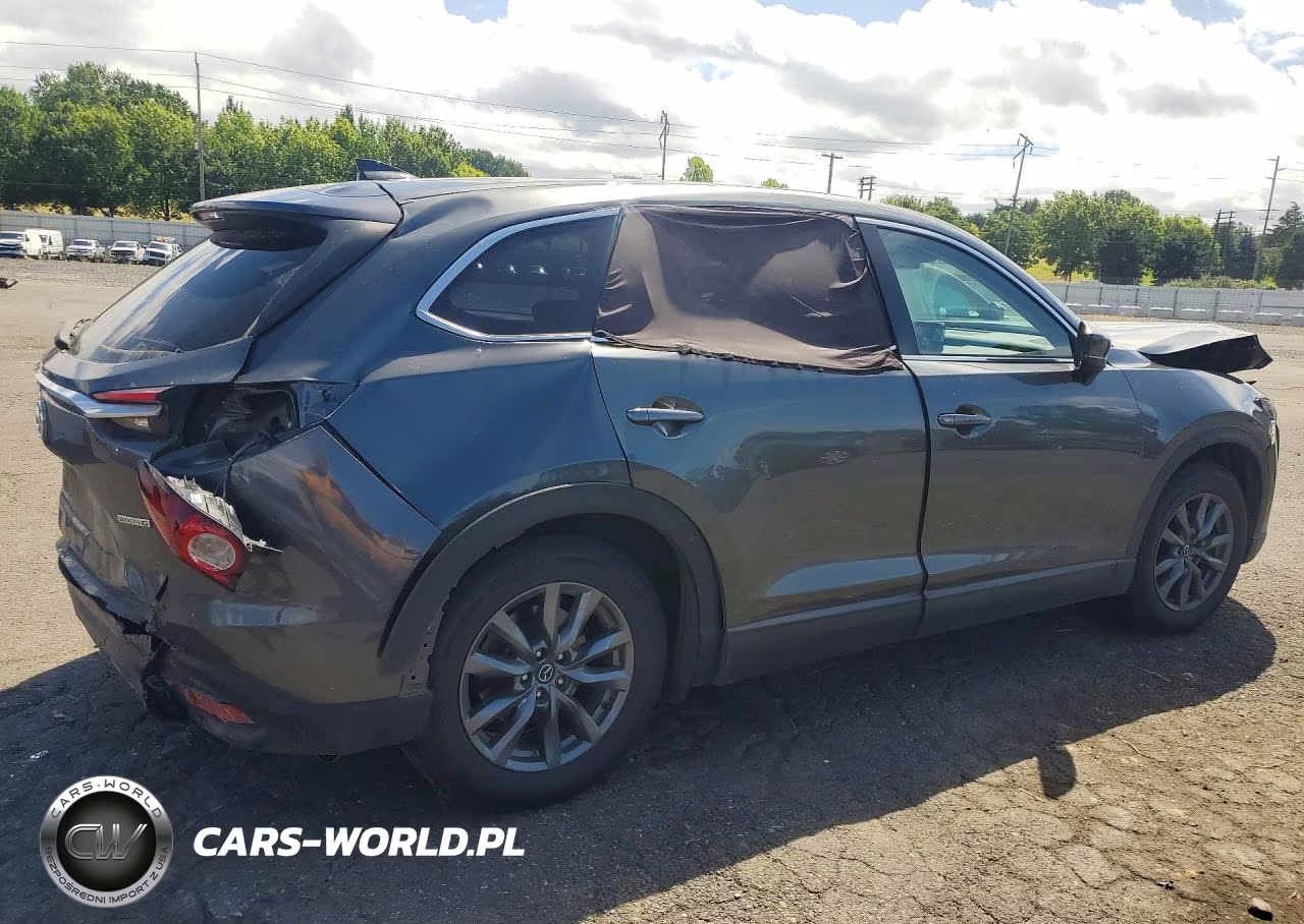 2020 Mazda Cx-9 Sport VIN:JM3TCBBY8L0415405 - 3