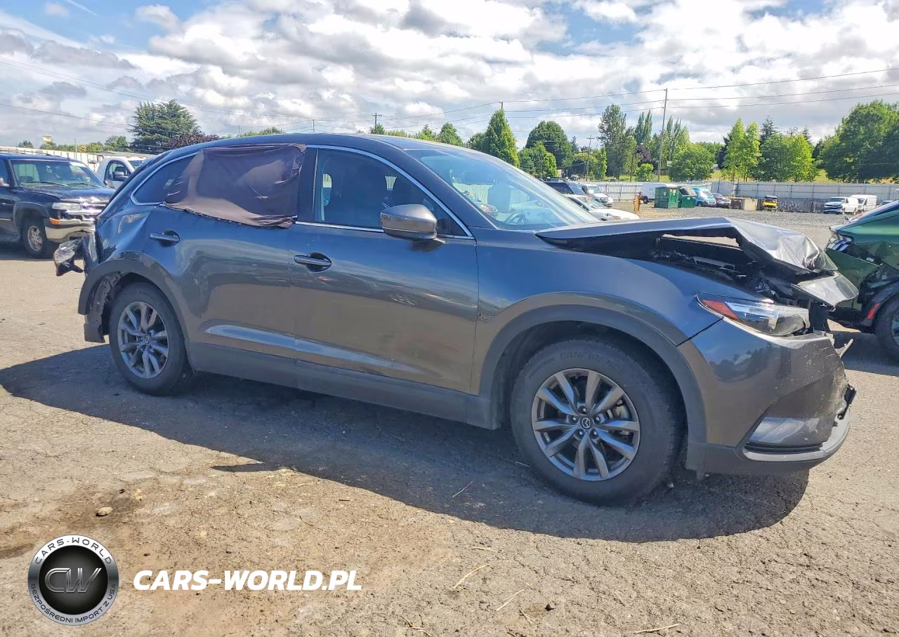 2020 Mazda Cx-9 Sport VIN:JM3TCBBY8L0415405 - 4