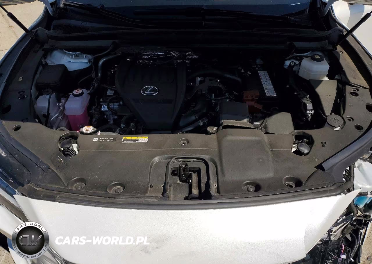 2025 Lexus Rx 350 Premium+ VIN:JTJCHMAA2S2026849 - 12