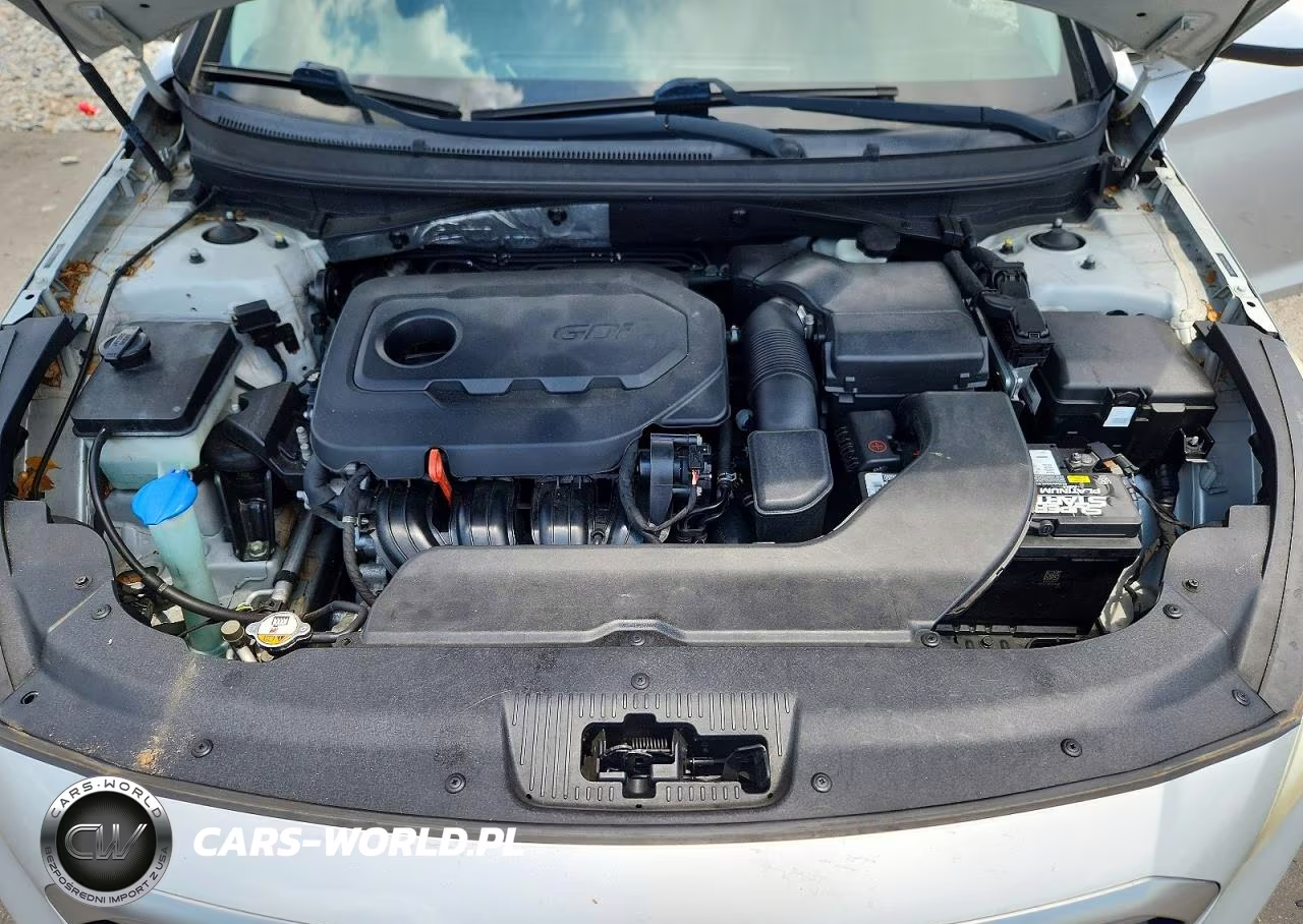 2015 Hyundai Sonata Se VIN:5NPE24AF2FH177879 - 11