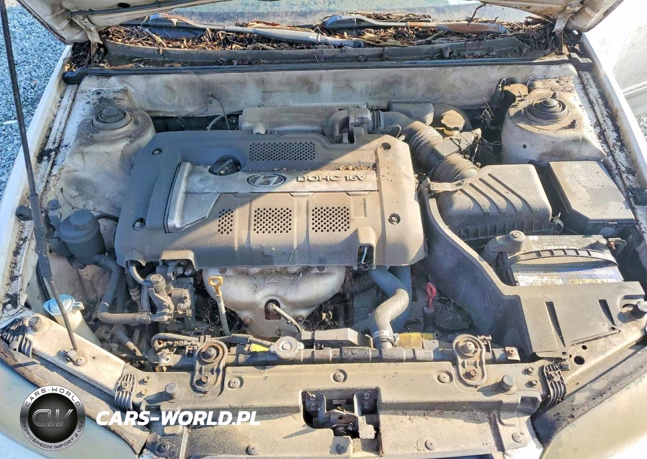 2004 Hyundai Elantra Gls VIN:KMHDN46D94U724901 - 11