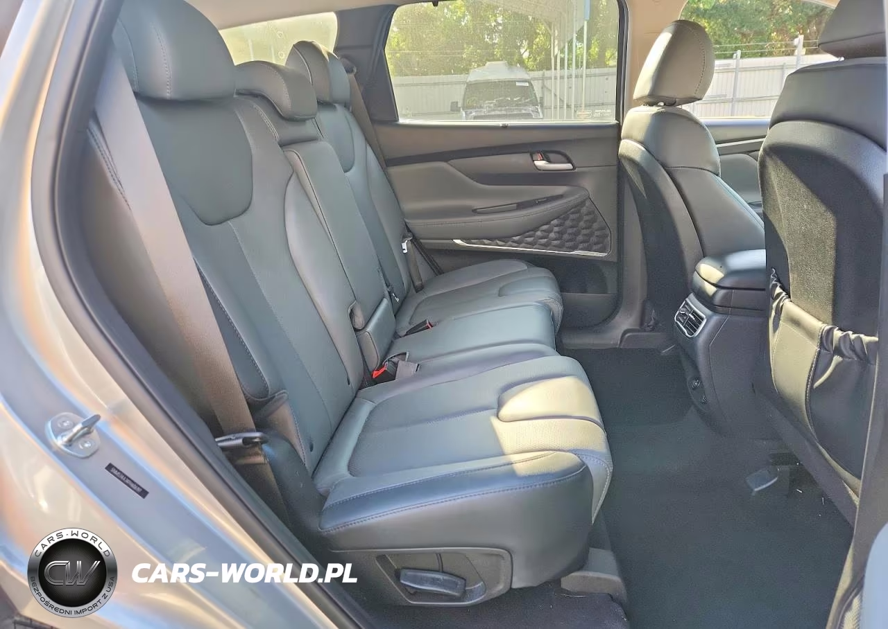 2023 Hyundai Santa Fe Sel Premium VIN:5NMS34AJ4PH606197 - 10