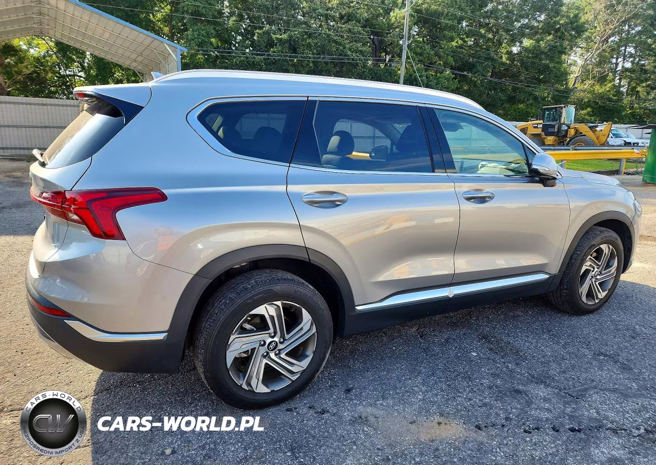 2023 Hyundai Santa Fe Sel Premium VIN:5NMS34AJ4PH606197 - 3