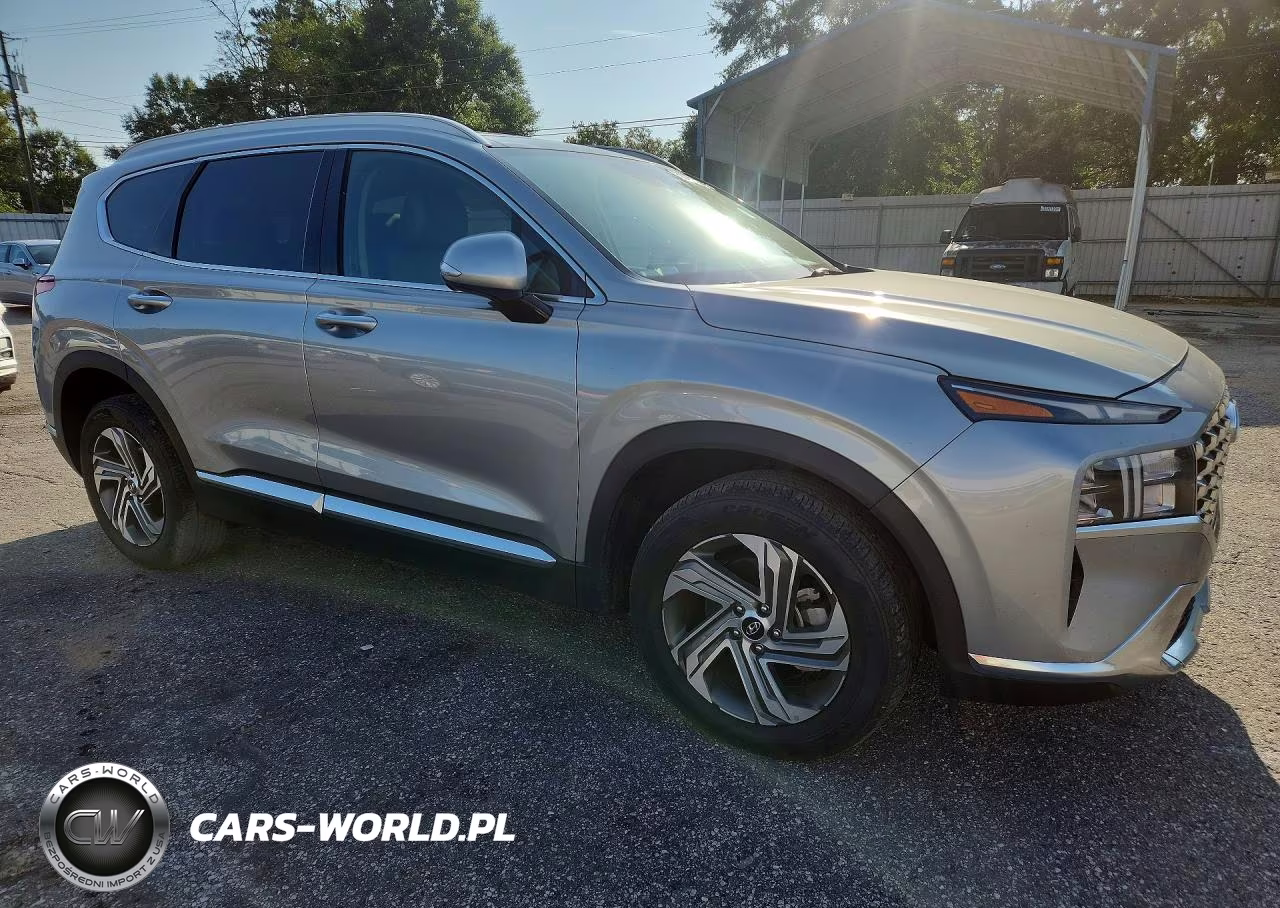 2023 Hyundai Santa Fe Sel Premium VIN:5NMS34AJ4PH606197 - 4