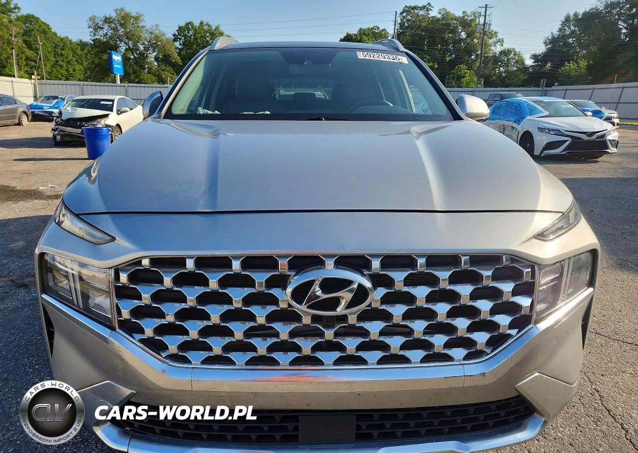 2023 Hyundai Santa Fe Sel Premium VIN:5NMS34AJ4PH606197 - 5