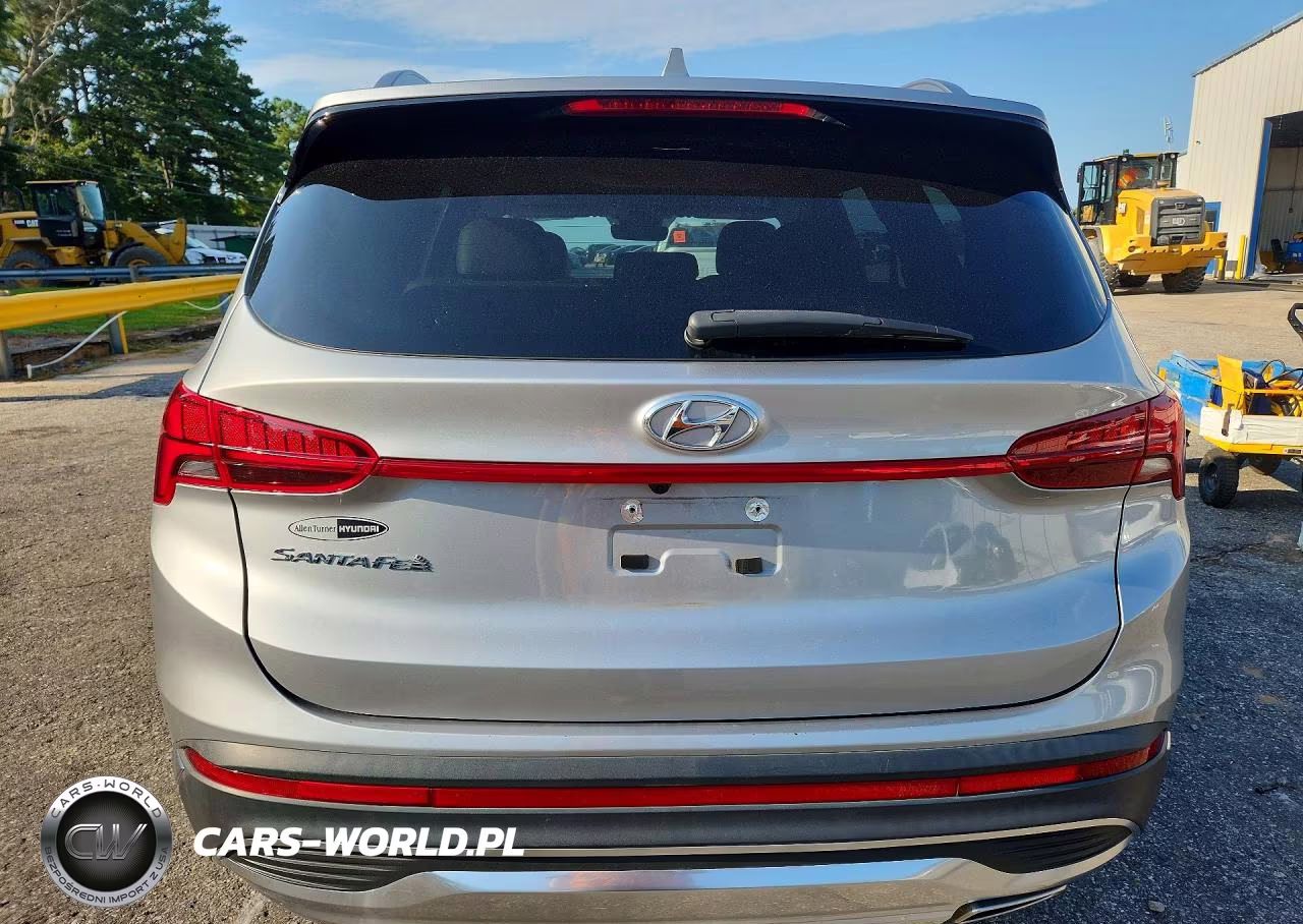 2023 Hyundai Santa Fe Sel Premium VIN:5NMS34AJ4PH606197 - 6