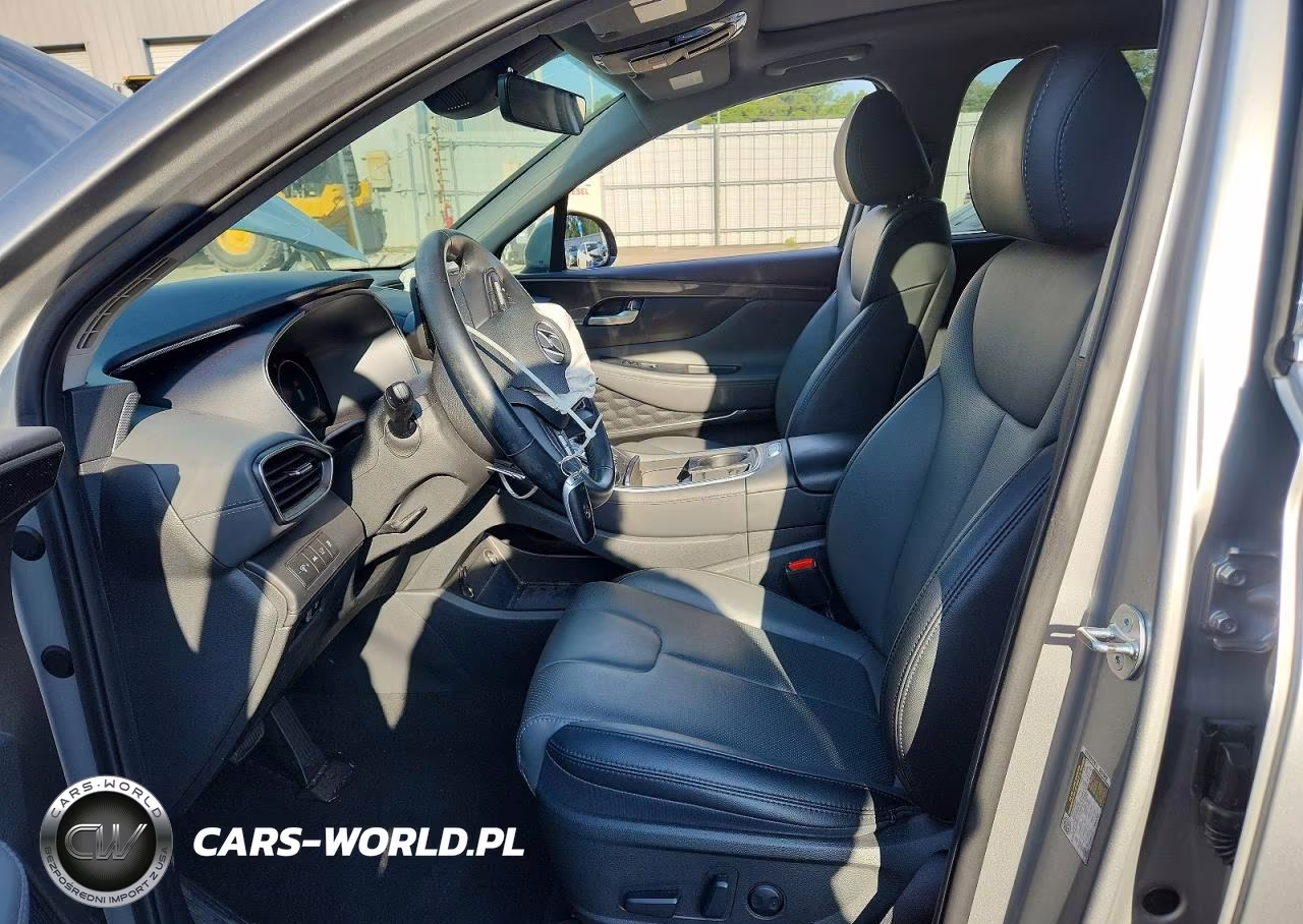 2023 Hyundai Santa Fe Sel Premium VIN:5NMS34AJ4PH606197 - 7