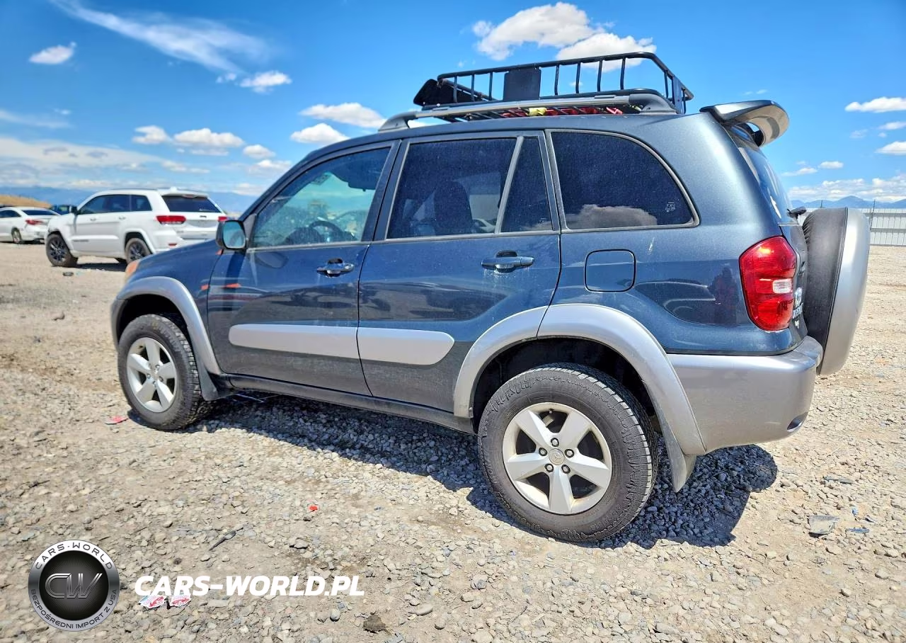 2004 Toyota Rav4 Base VIN:JTEHD20V340010098 - 2