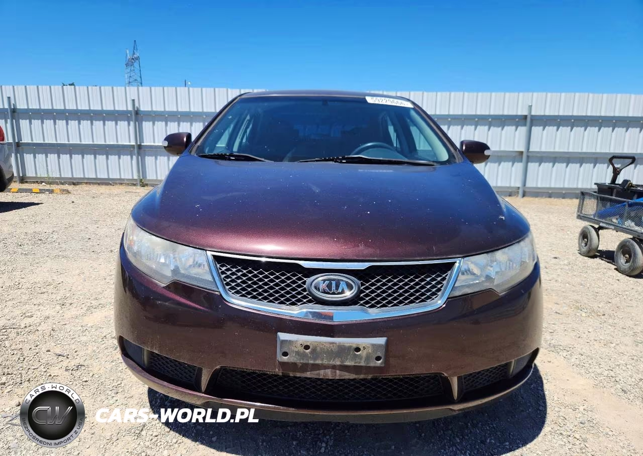 2010 Kia Forte Ex VIN:KNAFU4A23A5098948 - 5