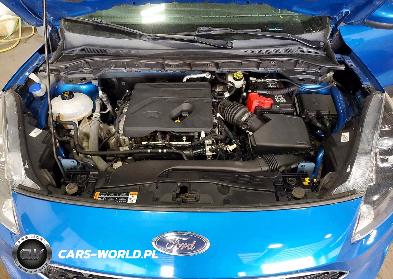 2020 Ford Escape Limited VIN:1FMCU9H6XLUB26616 - 12