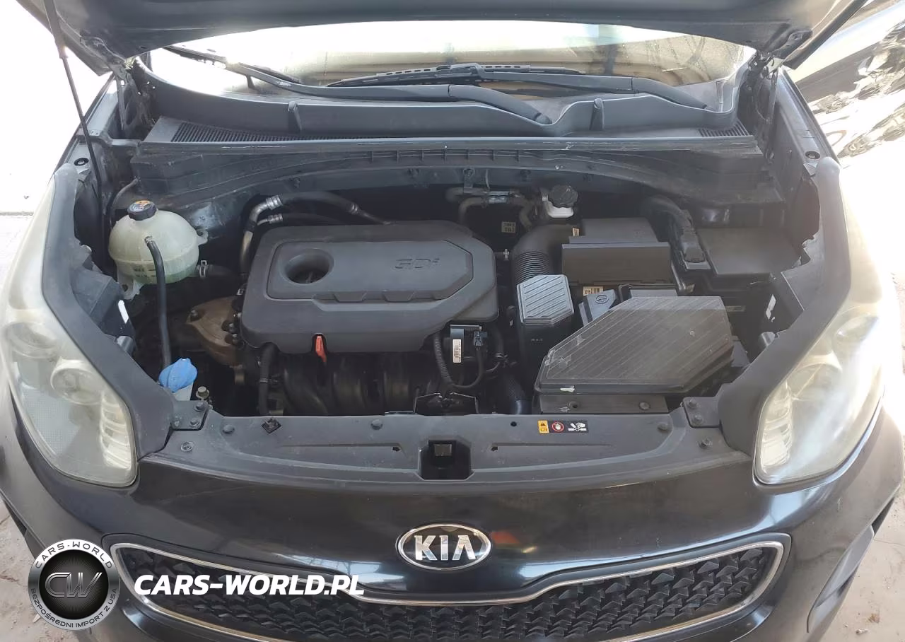 2017 Kia Sportage Lx VIN:KNDPM3AC6H7103312 - 12