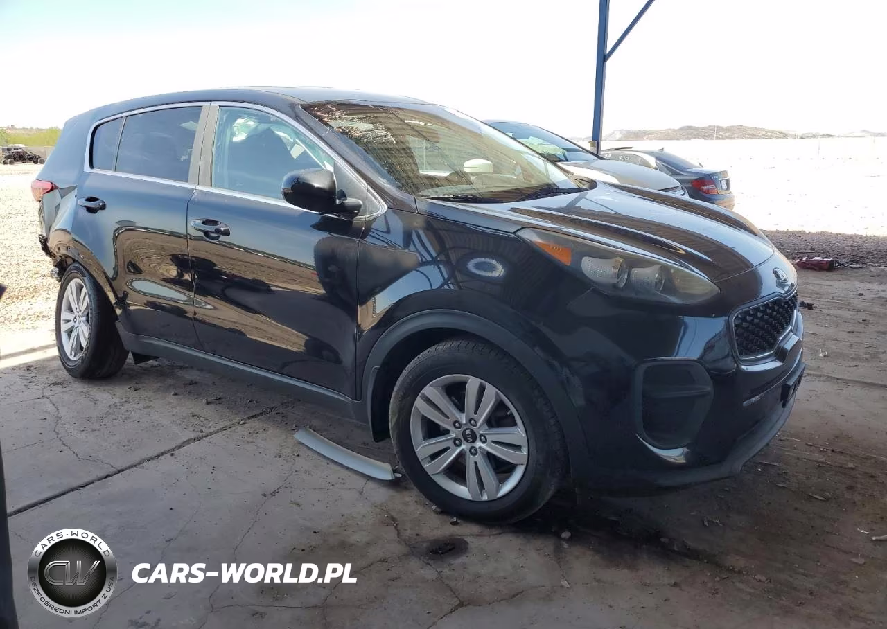 2017 Kia Sportage Lx VIN:KNDPM3AC6H7103312 - 4