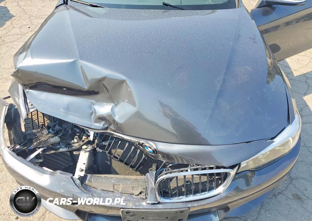 2018 BMW 430Xi VIN:WBA4Z3C54JEA31692 - 11
