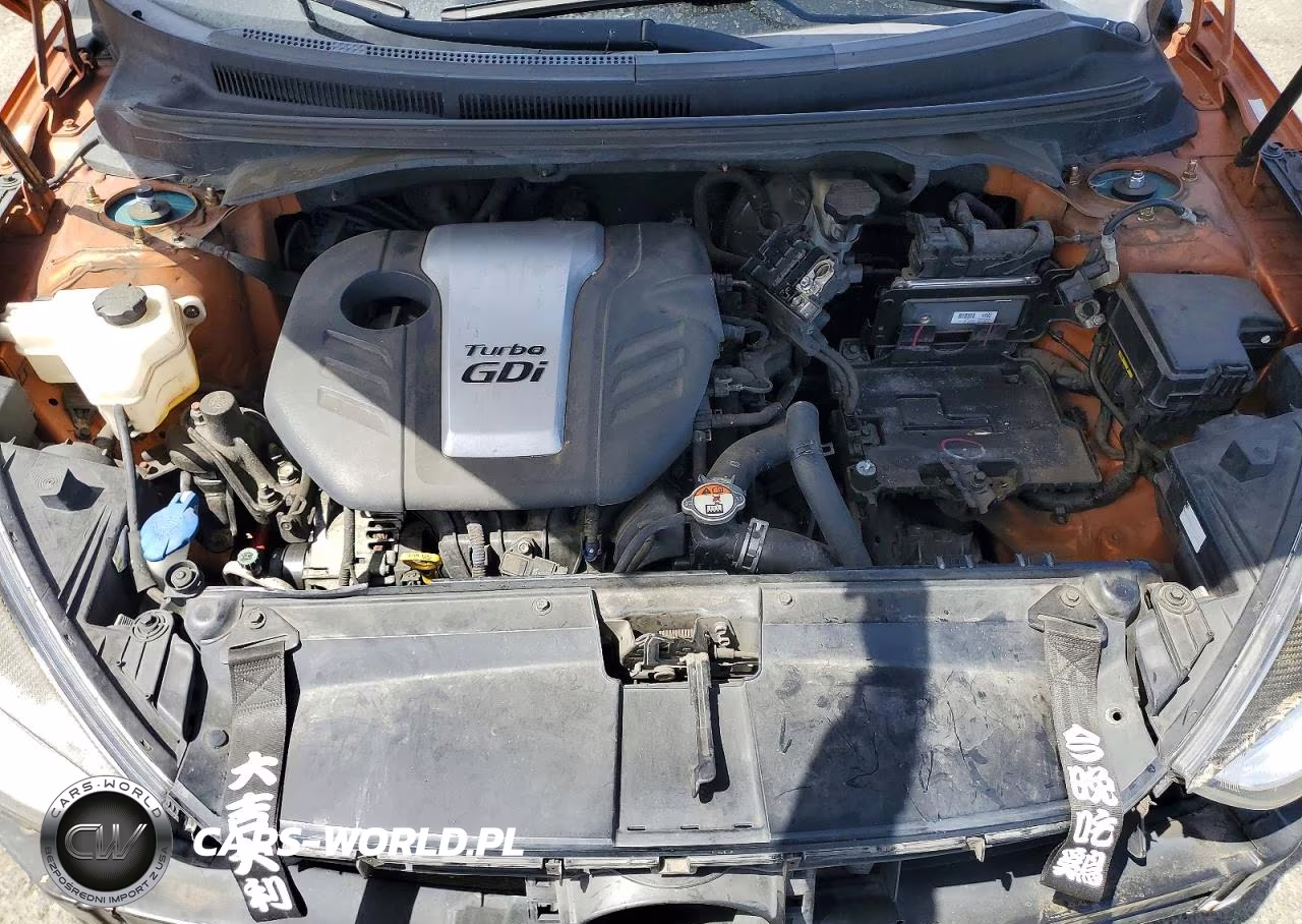 2016 Hyundai Veloster Turbo VIN:KMHTC6AE4GU295197 - 11