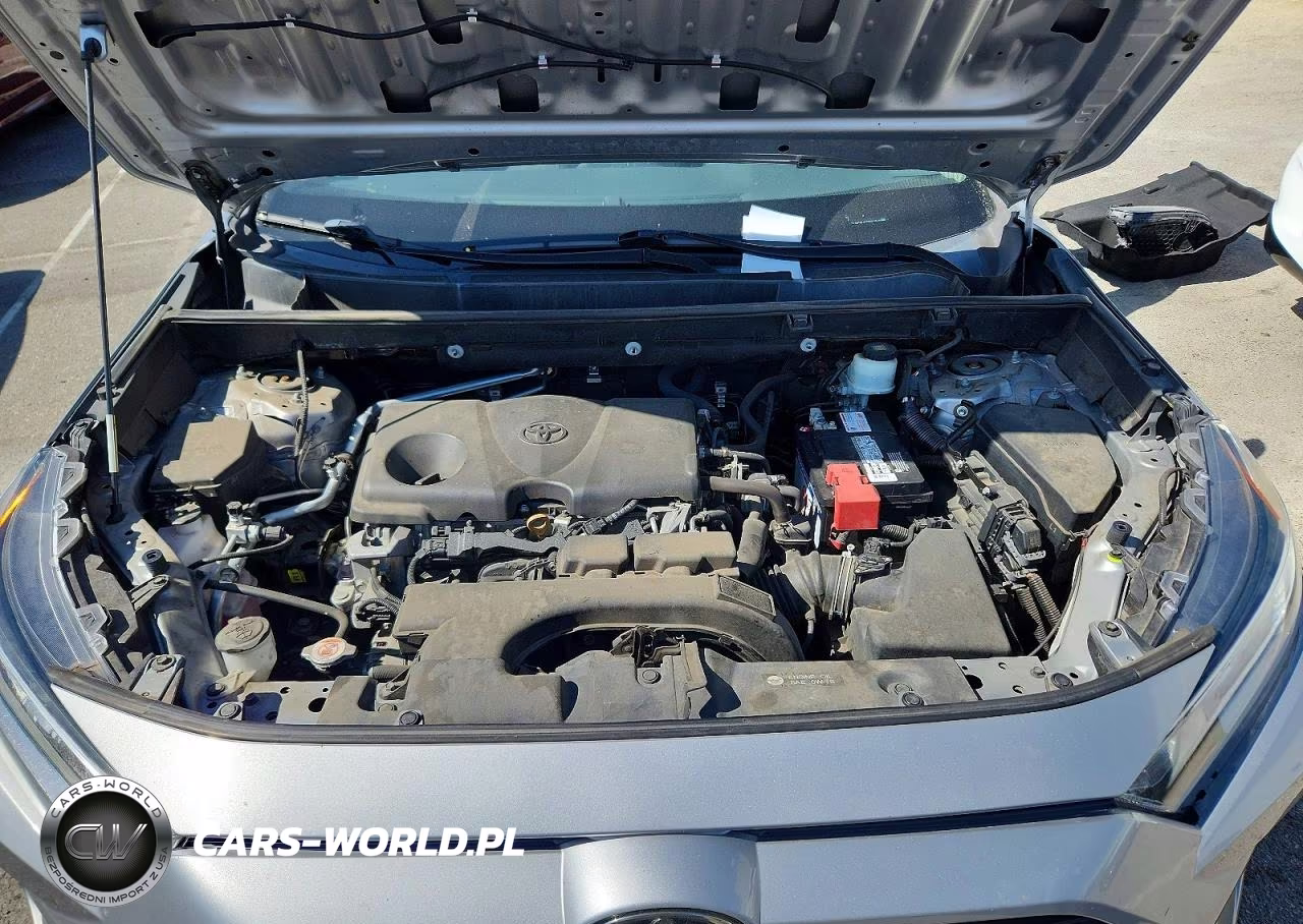 2019 Toyota Rav4 Xle VIN:2T3W1RFV3KW031420 - 11