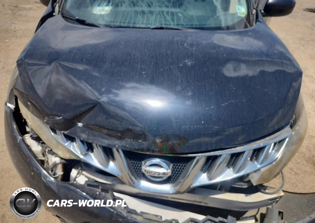 2010 Nissan Murano S VIN:JN8AZ1MU5AW005985 - 12