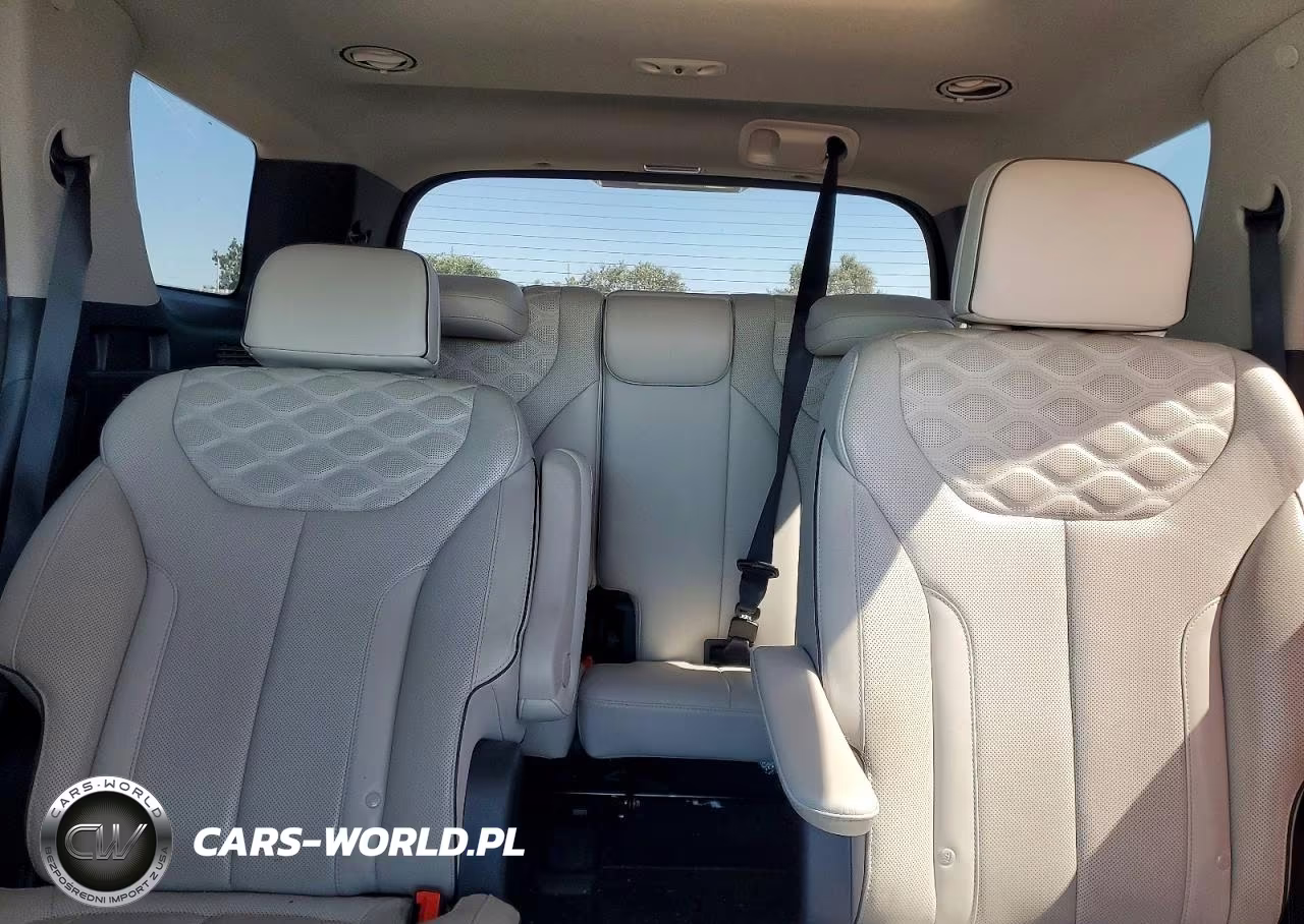 2021 Hyundai Palisade Limited VIN:KM8R5DHEXMU192442 - 10