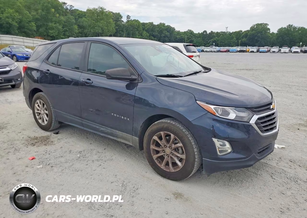 2020 Chevrolet Equinox Ls VIN:3GNAXHEV4LS698250 - 4