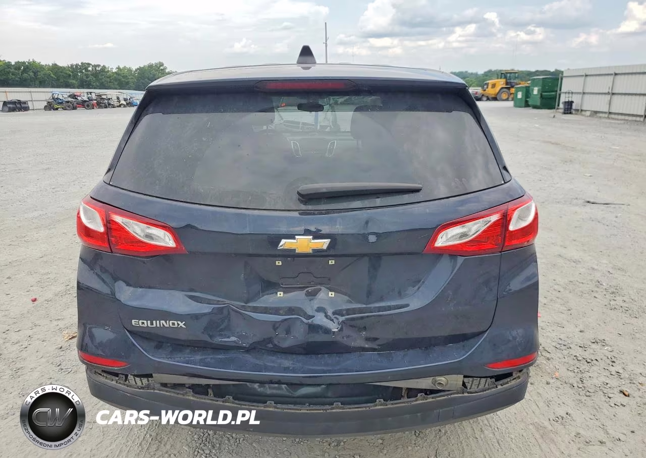 2020 Chevrolet Equinox Ls VIN:3GNAXHEV4LS698250 - 6