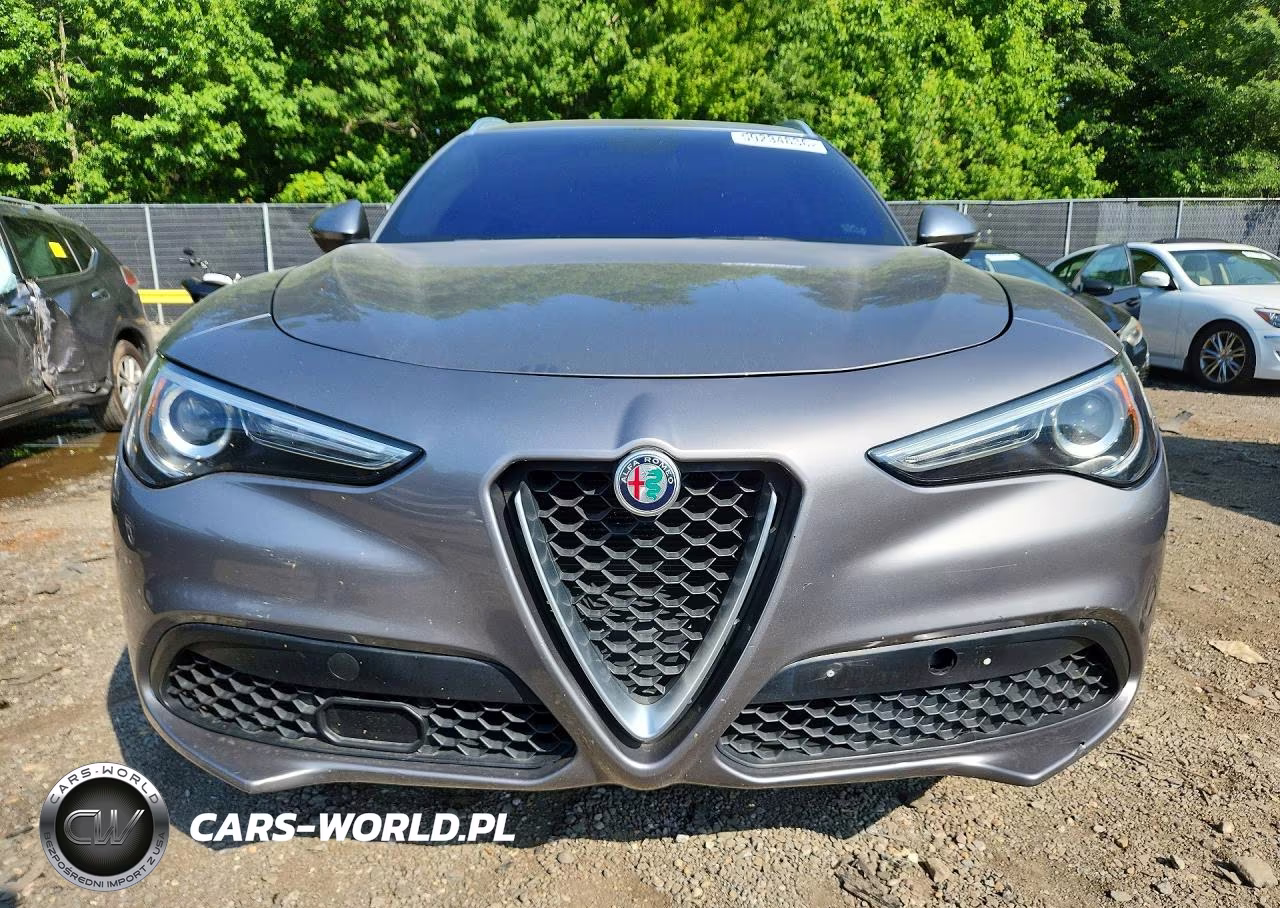 2018 Alfa Romeo Stelvio VIN:ZASFAKAN3J7B96187 - 5