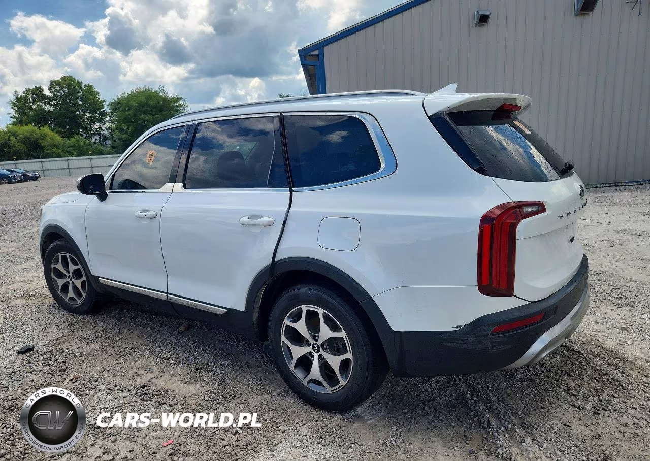 2020 Kia Telluride Ex VIN:5XYP34HC6LG043736 - 2