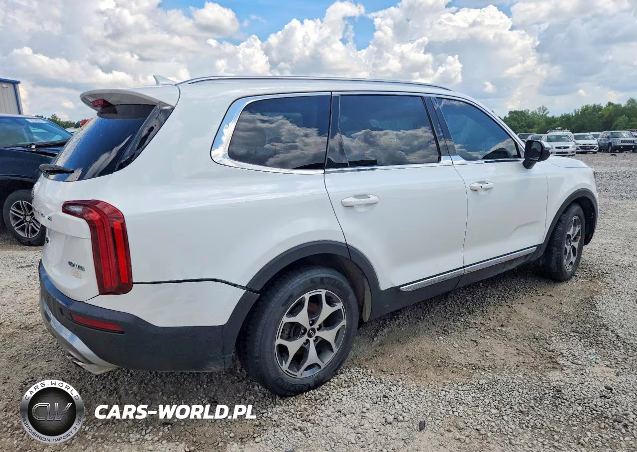 2020 Kia Telluride Ex VIN:5XYP34HC6LG043736 - 3