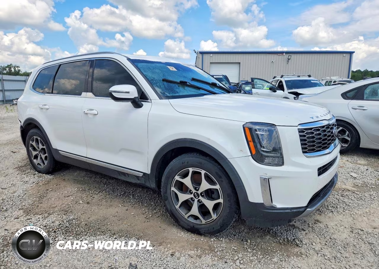 2020 Kia Telluride Ex VIN:5XYP34HC6LG043736 - 4