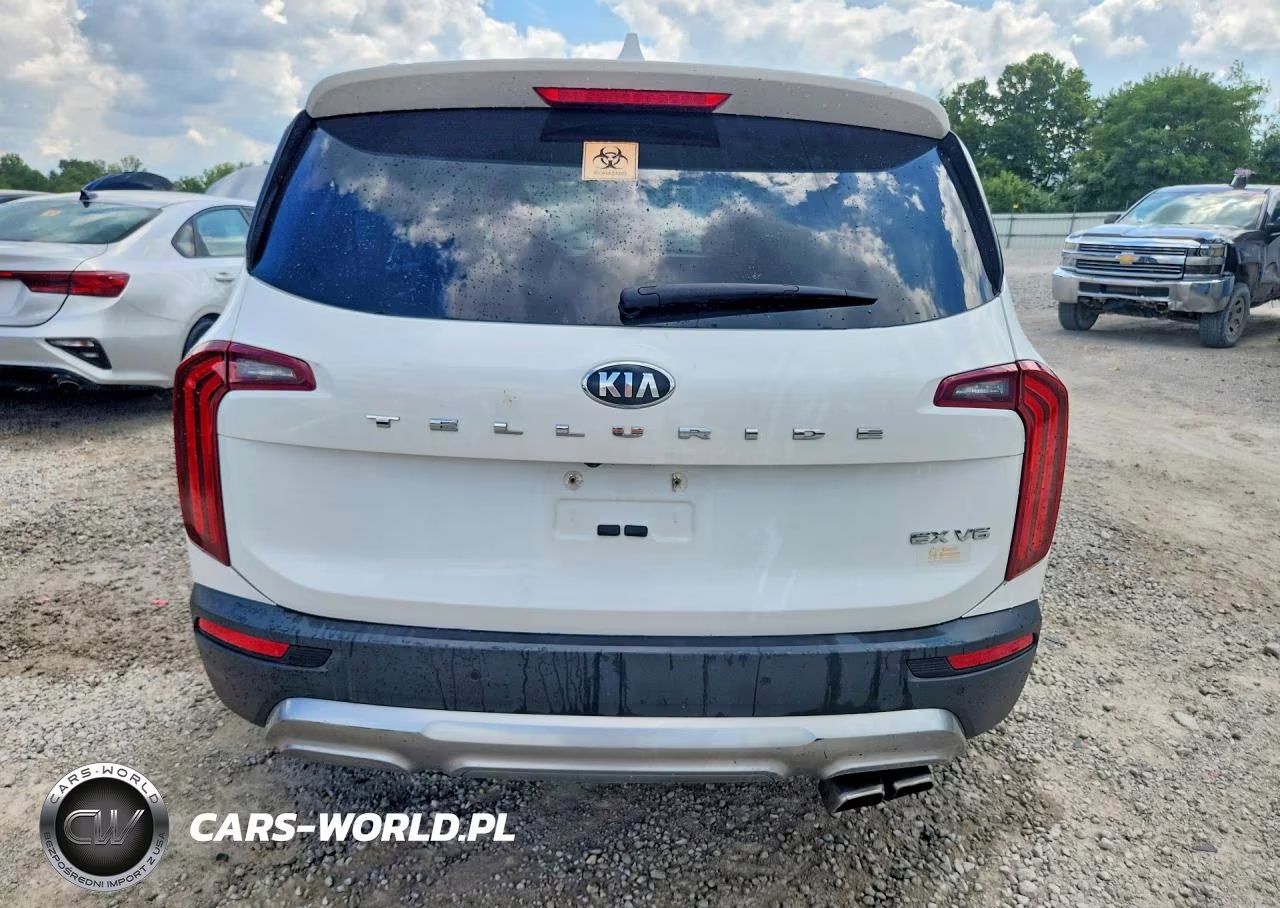 2020 Kia Telluride Ex VIN:5XYP34HC6LG043736 - 6