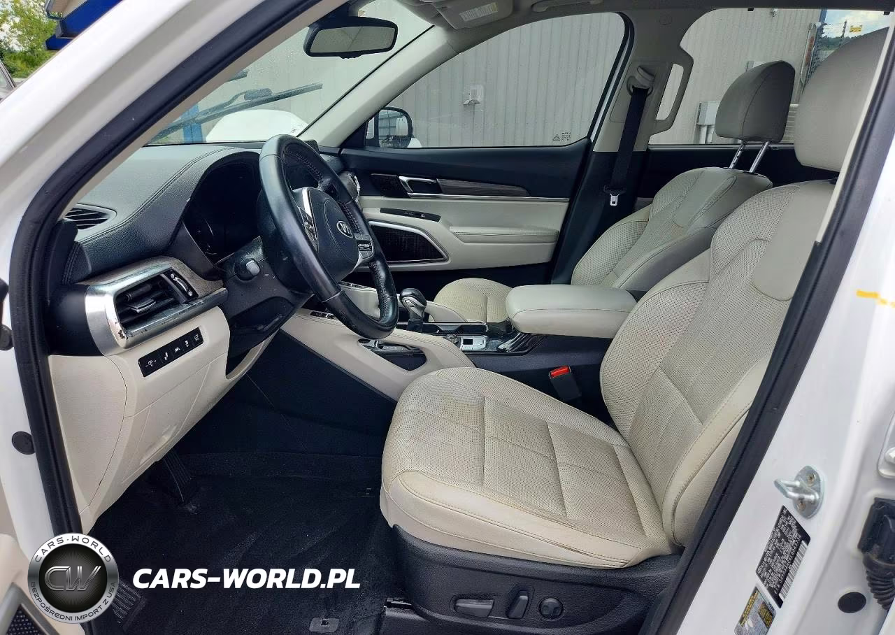 2020 Kia Telluride Ex VIN:5XYP34HC6LG043736 - 7