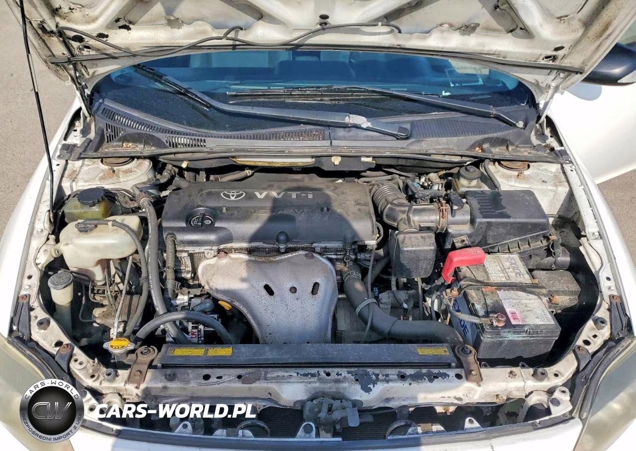 2009 Scion Tc VIN:JTKDE167490290066 - 11