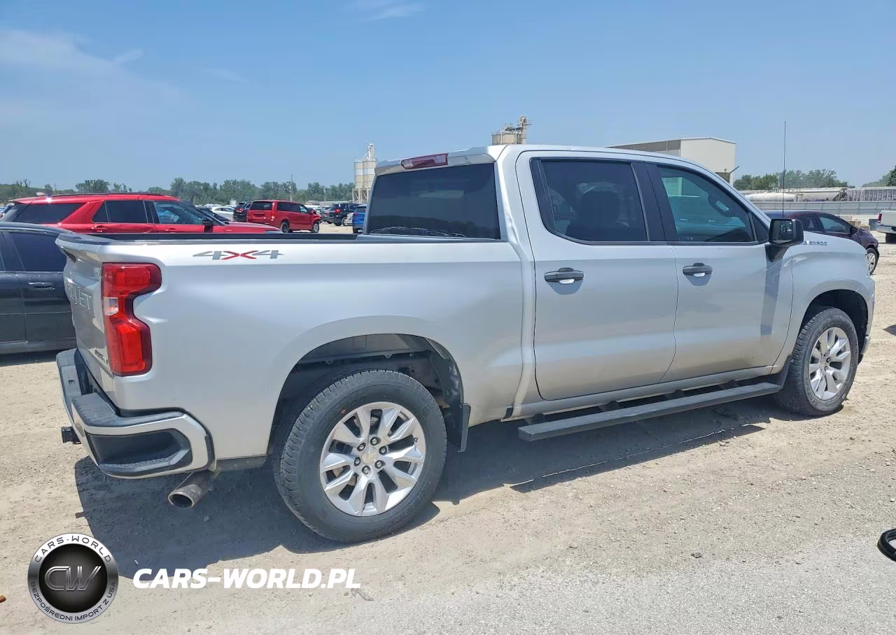 2019 Chevrolet Silverado K1500 Custom VIN:1GCPYBEH4KZ422479 - 3