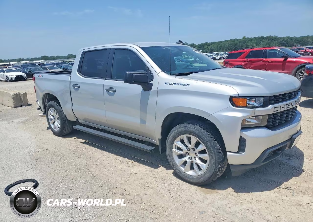 2019 Chevrolet Silverado K1500 Custom VIN:1GCPYBEH4KZ422479 - 4