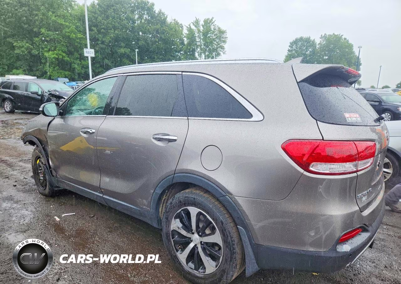 2017 Kia Sorento Ex VIN:5XYPH4A51HG305005 - 2