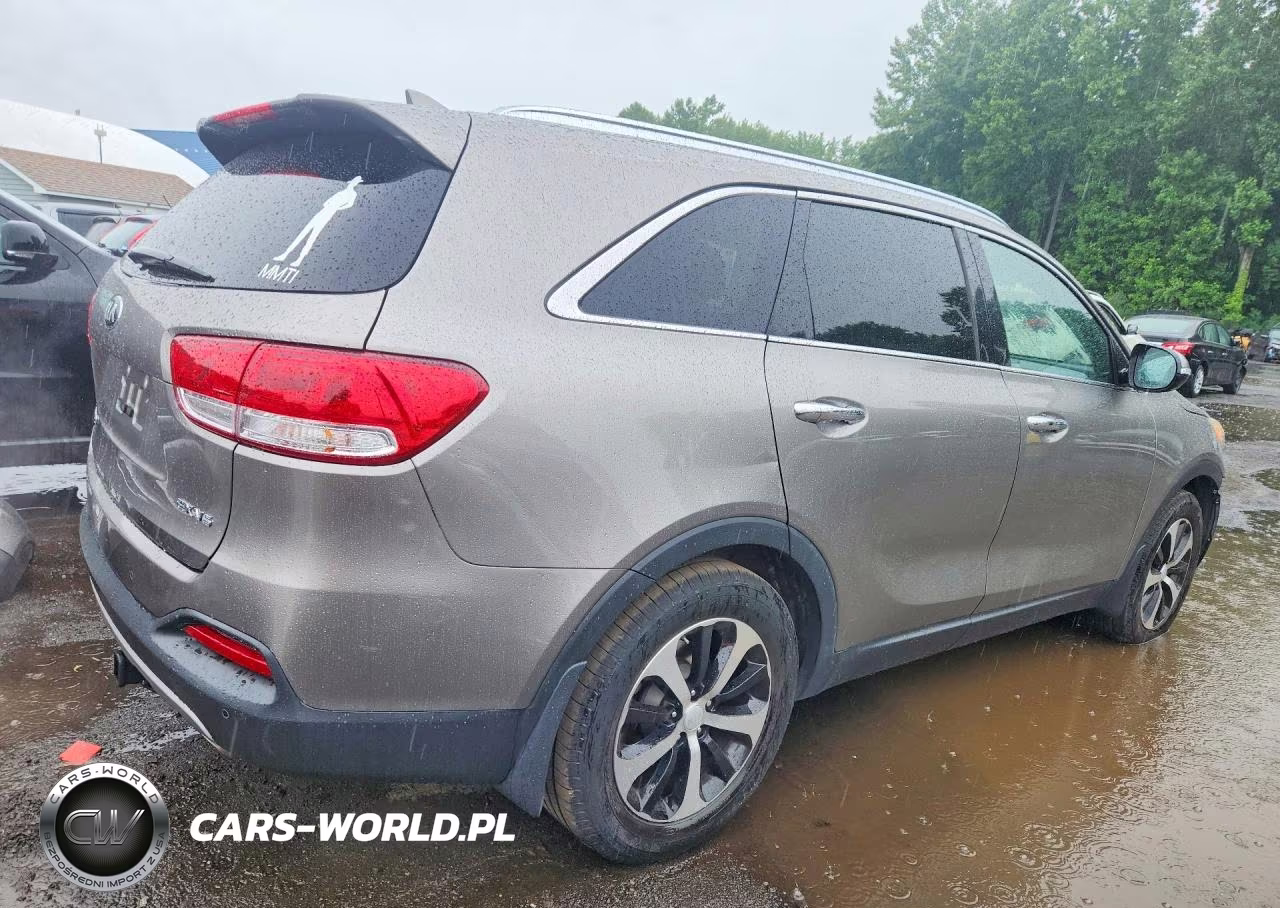 2017 Kia Sorento Ex VIN:5XYPH4A51HG305005 - 3