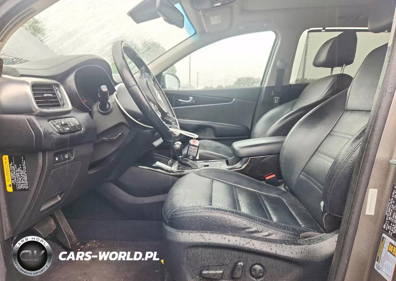 2017 Kia Sorento Ex VIN:5XYPH4A51HG305005 - 7