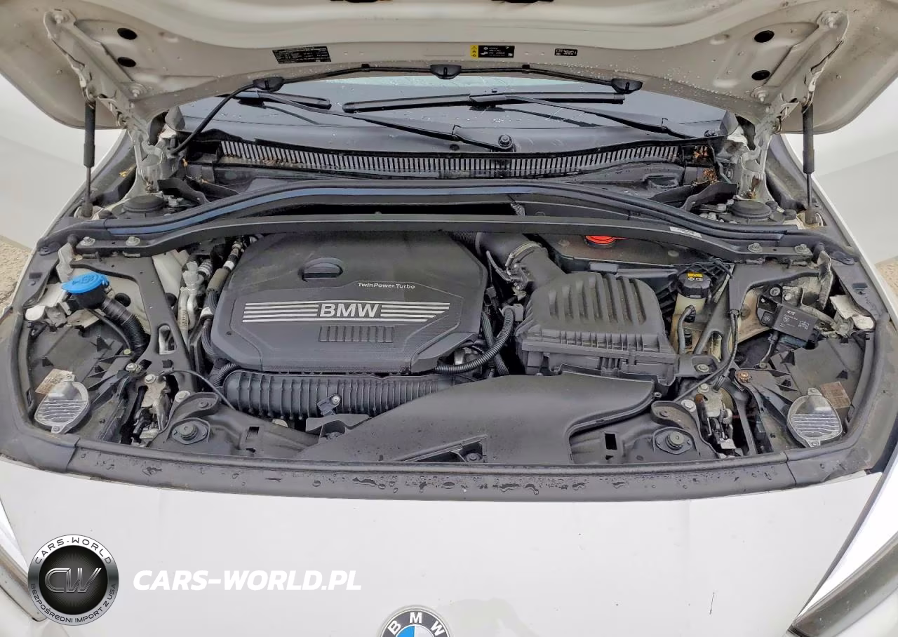 2020 BMW 228Xi VIN:WBA73AK0XL7F50102 - 11