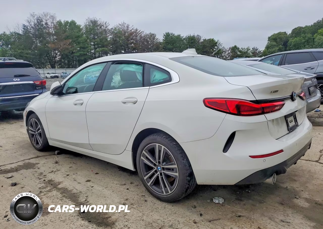 2020 BMW 228Xi VIN:WBA73AK0XL7F50102 - 2