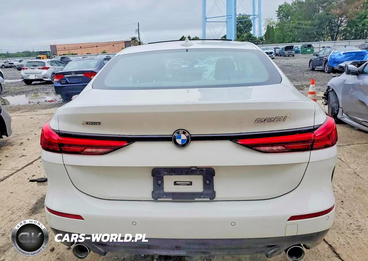 2020 BMW 228Xi VIN:WBA73AK0XL7F50102 - 6