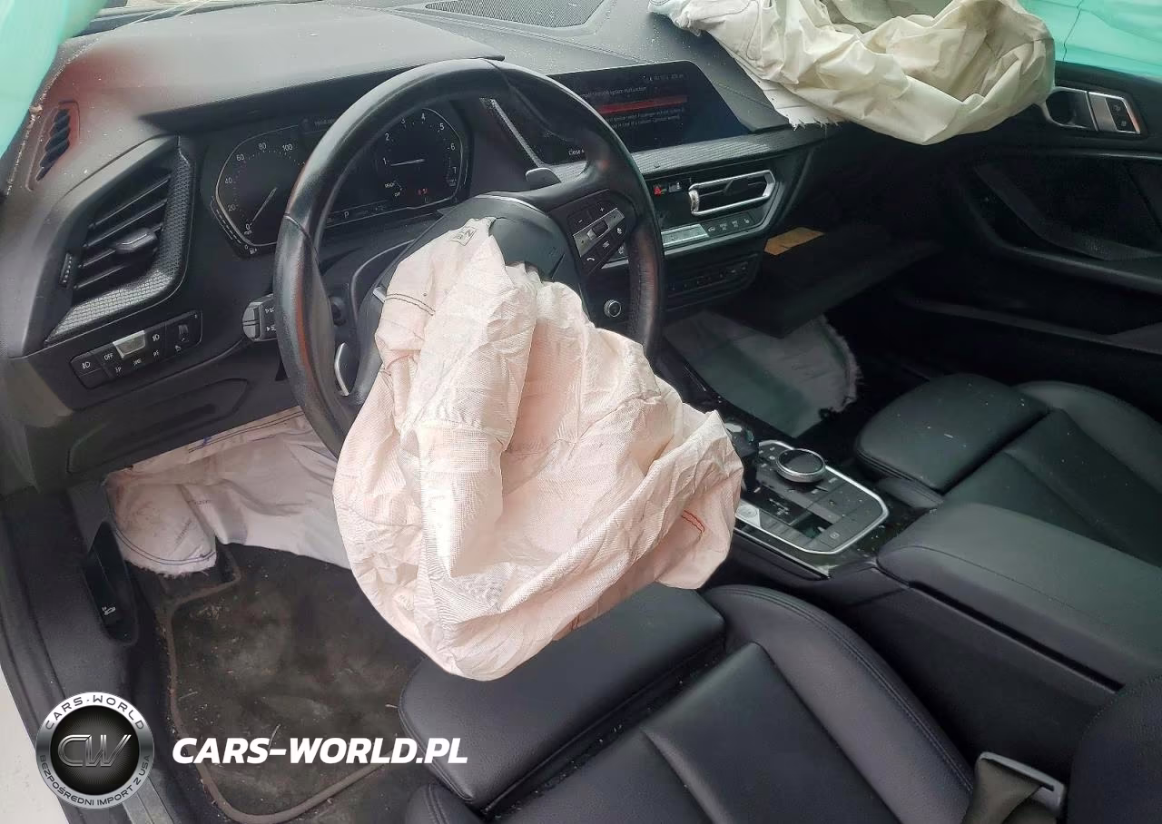 2020 BMW 228Xi VIN:WBA73AK0XL7F50102 - 8