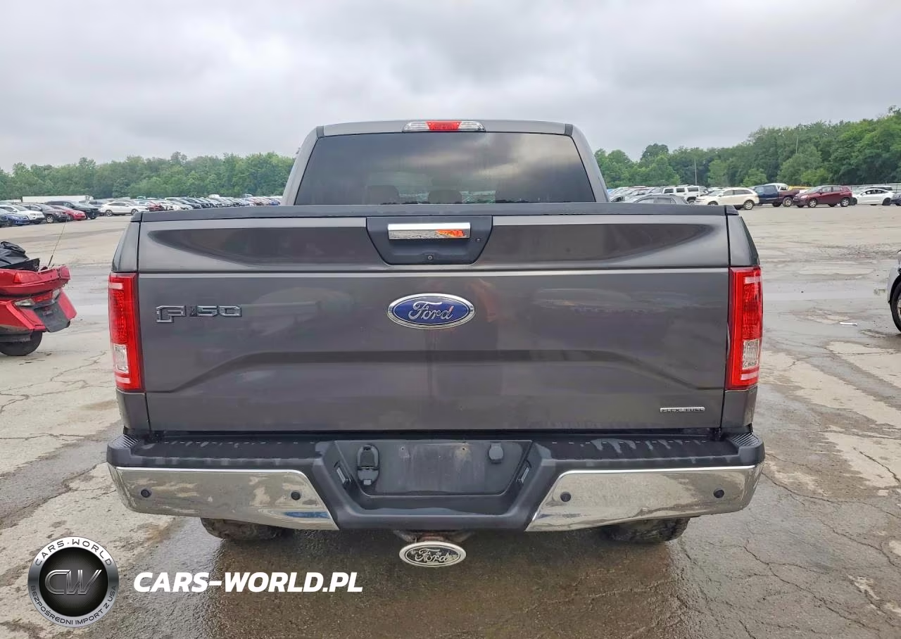 2016 Ford F150 Supercrew VIN:1FTEW1EF1GFA25083 - 6