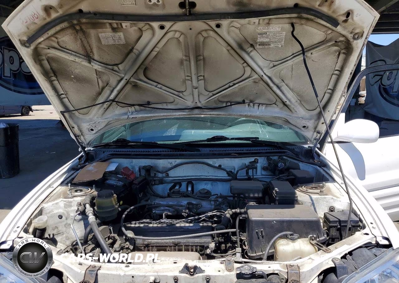 2000 Toyota Rav4 Base VIN:JT3GP10V0Y7075798 - 11