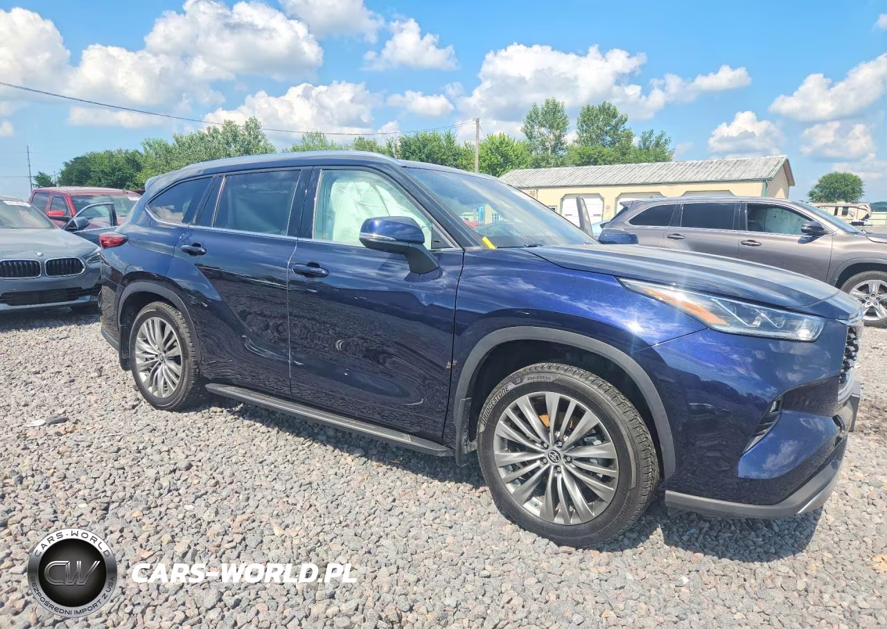 2020 Toyota Highlander Platinum VIN:5TDFZRBH6LS048868 - 4
