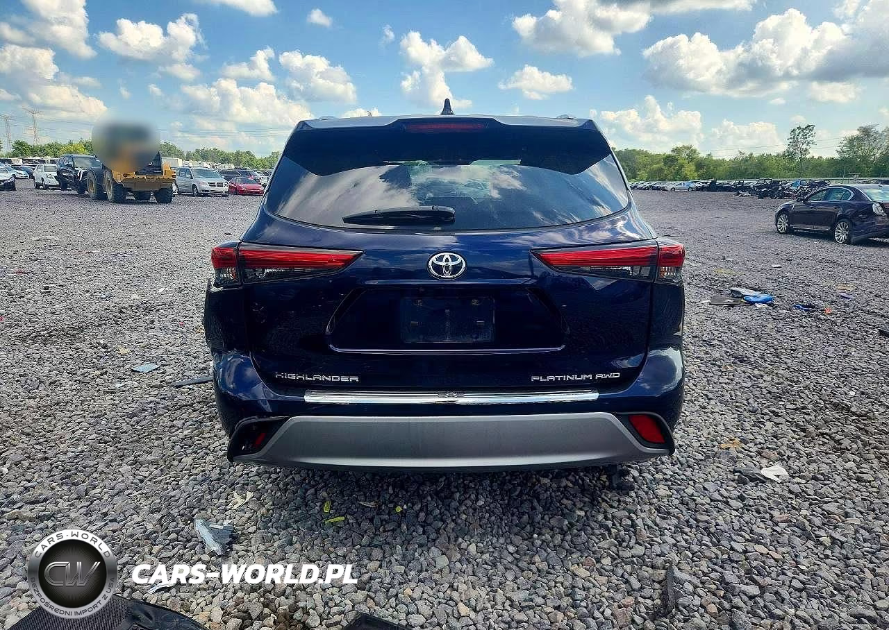 2020 Toyota Highlander Platinum VIN:5TDFZRBH6LS048868 - 6
