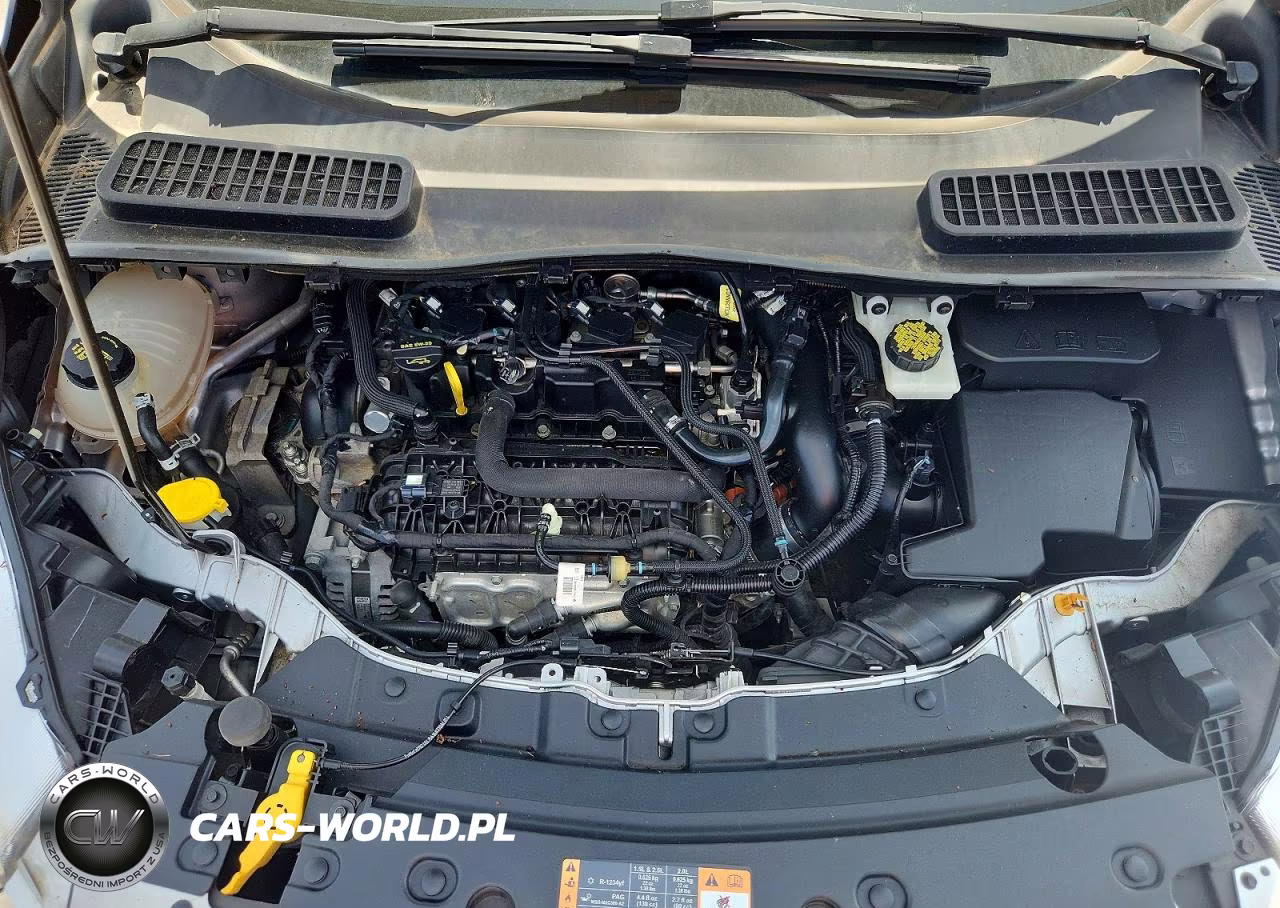2019 Ford Escape Se VIN:1FMCU0GD2KUB13028 - 12