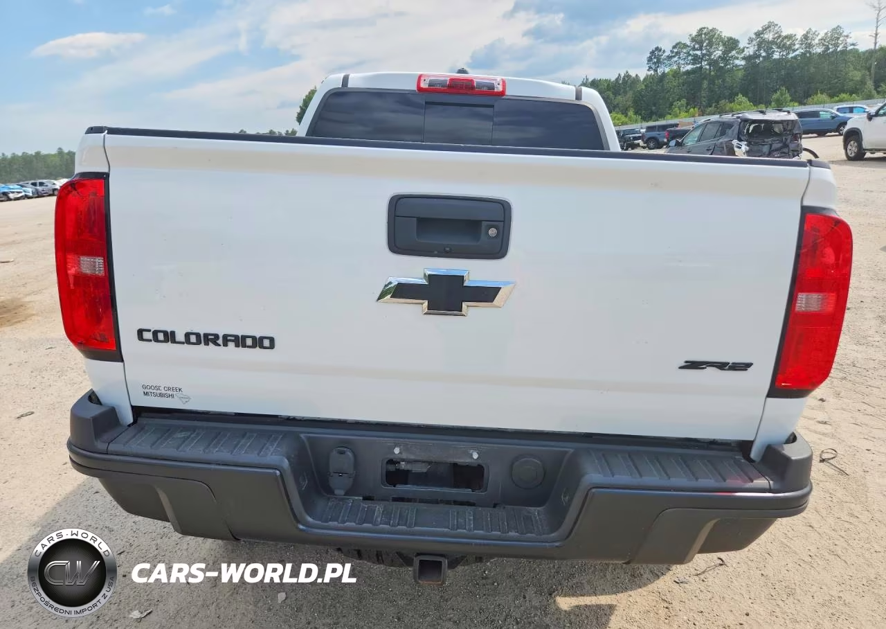 2018 Chevrolet Colorado Zr2 VIN:1GCPTEE19J1318425 - 6