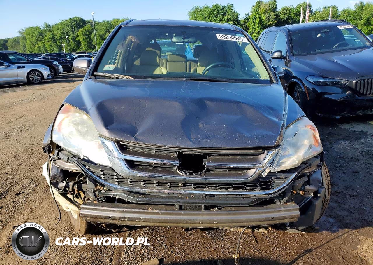 2010 Honda Cr-V Exl VIN:5J6RE4H75AL033507 - 5